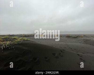 Spiaggia nera di Stokknes a Hofn (Islanda) vicino al villaggio vichingo Foto Stock