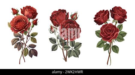Splendidi bouquet di rose rosse, Bordeaux e di vino. Illustrazione Vettoriale