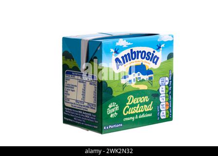 Quattro porzioni di Ambrosia pronte per servire Devon Custard Foto Stock