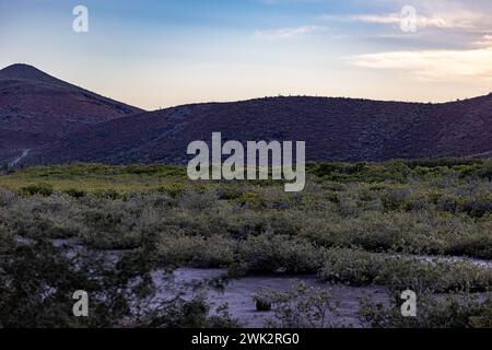 Paesaggio desertico messicano con alberi di ginepro e macchia, imponente formazione rocciosa di montagna illuminata dal sole sullo sfondo, auto parcheggiata su sabbia, soli Foto Stock