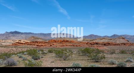 Monumento nazionale Gold Butte, vicino a Bunkerville, Nevada. Foto Stock