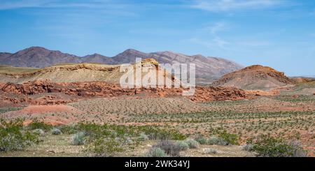 Monumento nazionale Gold Butte, vicino a Bunkerville, Nevada. Foto Stock