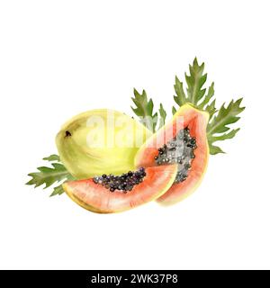 Composizione di papaya tropicale disegnata a mano ad acquerello. Illustrazione del cibo disegnato a mano, foglie esotiche di spirito maturo arancio per cocktail, caffè, etichetta, logo Foto Stock