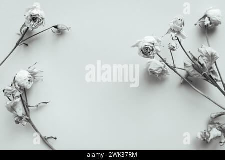 Fiori secchi su sfondo bianco, monocromatici. Mini rose appassite con spazio per copiare, bianco e nero. Amore triste. Ricordi d'amore. Concetto di nostalgia. Foto Stock