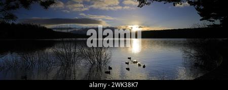 Vista autunnale sul lago artificiale Swinsty nella valle di Washburn a ovest di Harrogate, Yorkshire Dales National Park, Inghilterra, Regno Unito Foto Stock