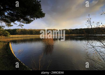 Vista autunnale sul lago artificiale Swinsty nella valle di Washburn a ovest di Harrogate, Yorkshire Dales National Park, Inghilterra, Regno Unito Foto Stock