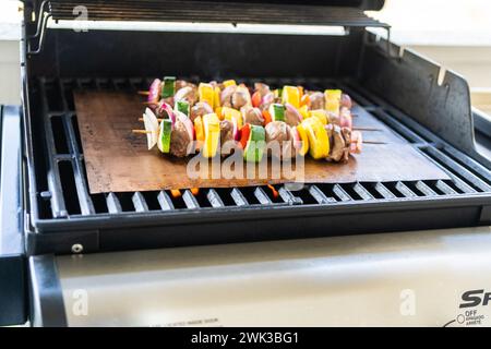 Delizie alla griglia: Manzo e verdure sfrigolanti sullo spiedino Foto Stock