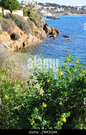 Sentiero del miter le Mourillon Toulon Provence Foto Stock