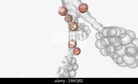 Gli alveoli sono piccole sacche d'aria a forma di palloncino situate alla fine dei bronchioli, i tubi simili a diramazioni nei polmoni illustrazione 3d. Foto Stock