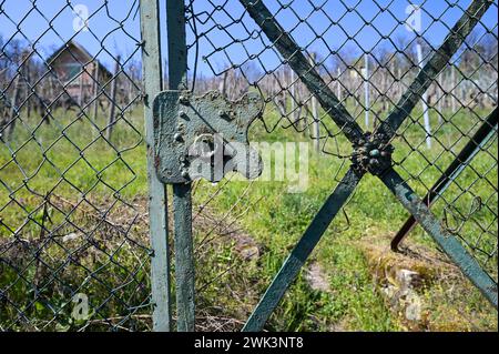 Cancello d'ingresso fatiscente al vigneto - dietro di esso prato, viti e capannone per attrezzi. Scattata in primavera a Stoccarda Feuerbach Foto Stock