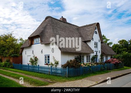 Insel Amrum Nordfriesland - Straßenszene im Dorf Nebel auf der Nordseeinsel Amrum, mit Reed gedecktes weißes Haus Foto Stock