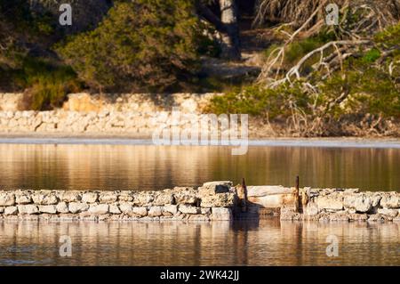 Antico cancello in legno di luice nelle Salines d’en Marroig (parco naturale di Ses Salines, Formentera, isole Pityusic, isole Baleari, Mar Mediterraneo, Spagna) Foto Stock