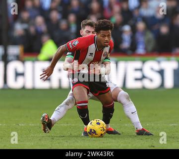 Bramall Lane, Sheffield, Regno Unito. 18 febbraio 2024. Premier League Football, Sheffield United contro Brighton e Hove Albion; il Rhian Brewster dello Sheffield United è stato violato da Brighton &amp; Billy Gilmour di Hove Albion che è stato avvertito Credit: Action Plus Sports/Alamy Live News Foto Stock