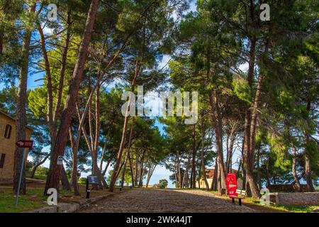 Vista panoramica dal famoso castello di Pylos o Niokastro nella città di Pylos, Navarino, Messinia, Grecia. Foto Stock