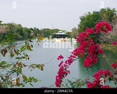 Miami, Florida, Stati Uniti - 14 marzo 2011: Fiori primaverili sul lago dello Zoo di Miami. Foto Stock