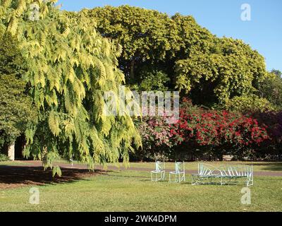 Miami, Florida, Stati Uniti - 14 gennaio 2011: Fairchild Tropical Botanic Garden. Foto Stock