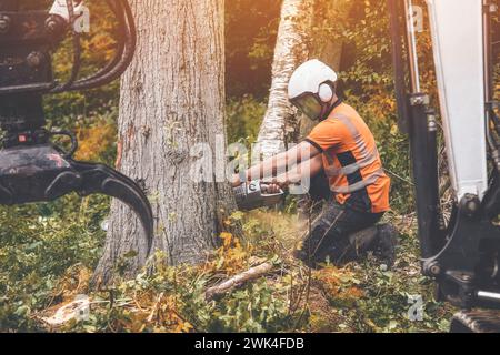 Un arborista che indossa attrezzature di sicurezza e abiti che tagliano un vecchio albero di legno con una motosega Foto Stock