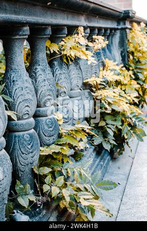 Balaustra classica in vecchio stile con piante di edera verde. Splendide fotografie di paesaggi urbani con l'edificio ricoperto da una pianta di edera. Scena di strada. Alta qualità p Foto Stock