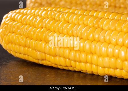 Primo piano di due orecchie mature di mais biologico splendidamente esposte su un moderno sfondo nero, che mostrano un raccolto abbondante di mais in un elegante e moderno Foto Stock