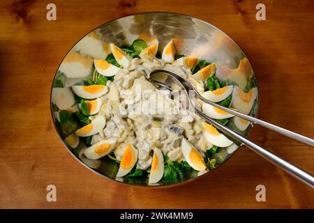 Insalata di pesce Fischsalat in stile austriaco con aringhe, patate, cetriolini, uova e insalata Foto Stock