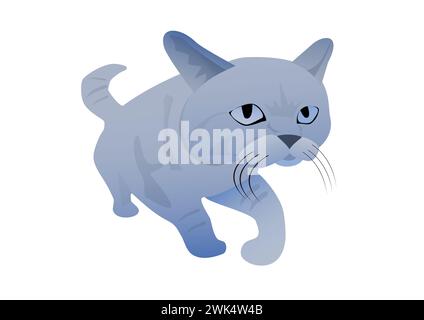 gatto blu sul bianco Foto Stock