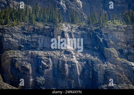 Cascate a muro piangenti al largo dell'Icefields Parkway nel Banff National Park, Alberta, Canada. Foto Stock