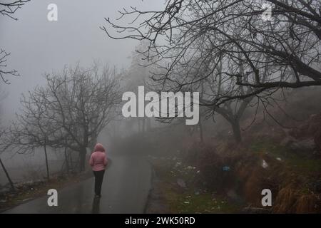 Srinagar, Kashmir, India. 18 febbraio 2024. Una donna cammina attraverso la strada durante una giornata di pioggia e nebbia alla periferia di Srinagar, la capitale estiva di Jammu e Kashmir. Sono state segnalate nevicate fresche nei tratti più alti del Kashmir, mentre le pianure hanno subito piogge, con un conseguente calo significativo delle temperature.l'ufficio meteorologico ha previsto nevicate da moderata a pesante o precipitazioni attraverso la valle del Kashmir per i prossimi tre giorni. (Immagine di credito: © Saqib Majeed/SOPA Images via ZUMA Press Wire) SOLO PER USO EDITORIALE! Non per USO commerciale! Foto Stock