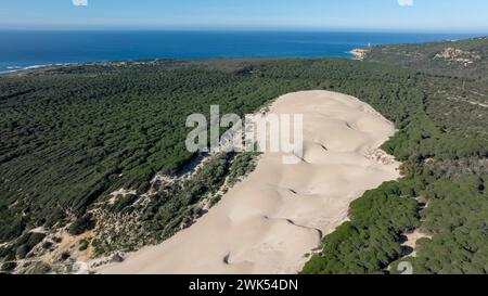 Vista aerea della duna di Bolonia sull'omonima spiaggia Foto Stock