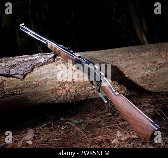 Fucile ad azione a leva appoggiato contro un tronco abbattuto nella foresta di notte. Foto Stock