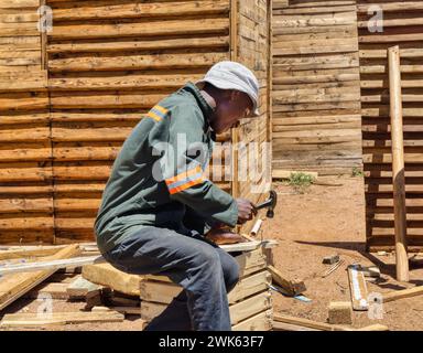 falegname afroamericano che crea una casa wendy, capannone di legno all'aperto, martellano pallet per realizzare tavole e assemblarle in pannelli Foto Stock