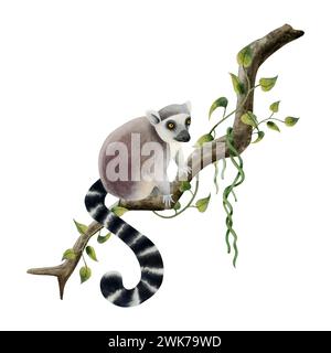 Lemuri che si arrampicano su un ramo con viti tropicali e liane illustrazione acquerello. Simpatica scimmia tropicale disegnata a mano Foto Stock