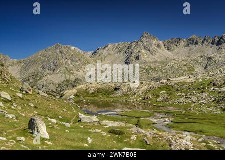 Valle di Peguera vista dal lago Estany Gran de Peguera (Parco Nazionale Aigüestortes i Estany de Sant Maurici, Catalogna, Spagna, Pirenei) Foto Stock