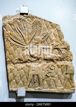 L'uccisione della caccia - Impero neo-assiriano, regno di Ashurbanipal (668 - 627 a.C.) - calcare - dalla Mesopotamia settentrionale, Ninive (Kuyunjik), Palazzo Nord - Museo di Scultura Antica Giovanni Barracco, Roma, Italia Foto Stock