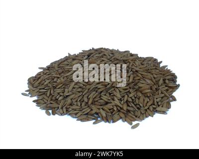 Piccolo mucchio di semi di riso isolati su fondo bianco Foto Stock