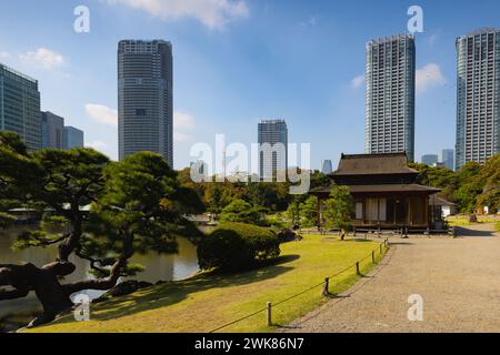 All'interno dei giardini Hamarikyu. E' un parco pubblico a Chuo Ward, To Foto Stock