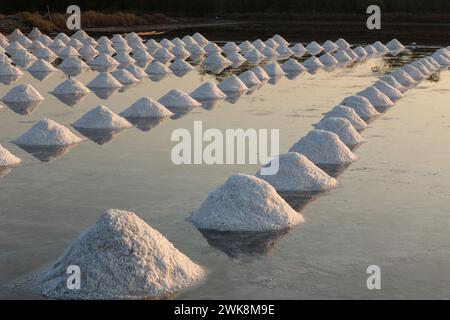 Pile di sale creano disegni geometrici sulla salina in una tradizionale fattoria di sale per evaporazione a Samut Sakhon, Thailandia. Foto Stock