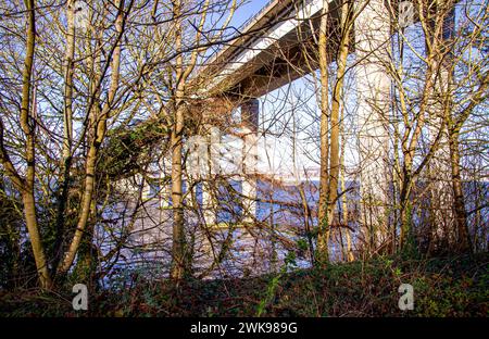 Dundee, Tayside, Scozia, Regno Unito. 19 febbraio 2024. Meteo nel Regno Unito: Una mattinata di febbraio a Dundee sotto il sole brillante con altezze di circa 10°C.. Vista dall'altra parte del fiume Tay a Newport-on-Tay a Fife, questa incredibile vista panoramica comprende Dundee City, il turbolento fiume Tay, ponti stradali e ferroviari e il Waterfront Development Project. Crediti: Dundee Photographics/Alamy Live News Foto Stock