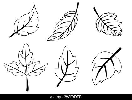 Illustrazione vettoriale con una collezione di sei diversi disegni di foglie in bianco e nero, ideale per la grafica a tema primaverile Illustrazione Vettoriale