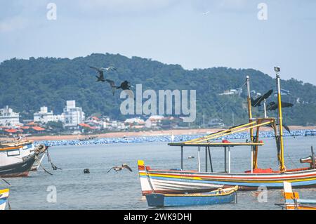 Penha-sc, brasile-febbraio 10,2024: Uccelli che volano su diverse barche da pesca ormeggiate alla spiaggia di Trapiche a Santta Catarina. Foto Stock