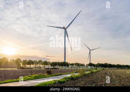 Turbine eoliche e alberi, così come una strada che conduce all'orizzonte illuminata dal sole tramonta, si combinano per creare un'immagine energica. Foto Stock