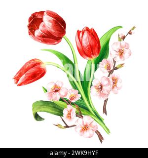 Fiori primaverili e tulipani rossi. Illustrazione ad acquerello disegnata a mano, isolata su sfondo bianco Foto Stock