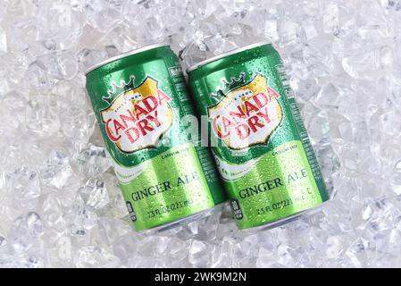 IRVINE, CALIFORNIA - 18 febbraio 2024: Due lattine di Canada Dry Ginger Ale mini lattine su un letto di ghiaccio. Foto Stock