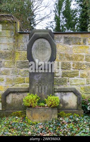 Loschwitzer Friedhof Der Loschwitzer Friedhof ist neben dem stillgelegten Kirchfriedhof der Loschwitzer Kirche die zweite, heute noch genutzte Begräbnisstätte des Dresdner Stadtteils Loschwitz. Um das Jahr 1800 eingeweiht steht er aufgrund zahlreicher wertvoller Künstlergräber seit 1985 unter Denkmalschutz. Günter Hörig War ein deutscher Jazz-pianista, Hochschullehrer und Komponist. Dresden Sachsen Deutschland *** cimitero di Loschwitz il cimitero di Loschwitz è il secondo luogo di sepoltura nel distretto di Dresda di Loschwitz ancora in uso oggi, accanto al cimitero della chiesa in disuso di Loschwitz c Foto Stock