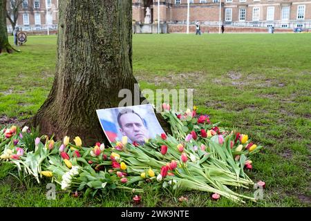 Bristol, Regno Unito. 19 febbraio 2024. Tributi floreali sono stati lasciati per il dissidente russo Alexei Navalny al College Green di Bristol. Crediti: JMF News/Alamy Live News Foto Stock