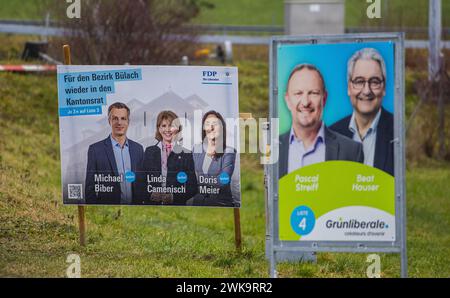 Wahlplakate für die Kantonsratswahlen hinten für die FDP-Kandindaten, davor für die Kantonsratskandidaten für die Grünliberale Partei. (Glattfelden, S. Foto Stock