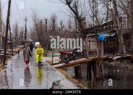 Srinagar, India. 19 febbraio 2024. I residenti camminano lungo una strada durante la pioggia. Venti gustosi hanno danneggiato diverse strutture residenziali a Srinagar. In mezzo a condizioni meteorologiche avverse con pioggia e neve, le autorità hanno emesso un avvertimento valanghe nei tratti più alti di Jammu e Kashmir per le prossime 24 ore. Credito: SOPA Images Limited/Alamy Live News Foto Stock