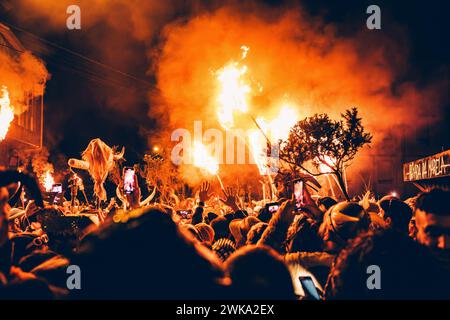 Maceda, Spagna. 10 febbraio 2024. I partecipanti si riuniscono per guardare l'incendio durante la sfilata "Baixada da Marela". "A Entrudo (Carnevale), nel villaggio di Maceda (Galizia - Spagna settentrionale) gli abitanti del villaggio si vestono da Felos e durante il giorno sfilano attraverso i villaggi vicini, durante la notte fanno la "Baixada da Marela", si cambiano vestiti, indossano corna e pelli di animali e sfilano con i carri per le strade di Maceda, trasportando torce, fiocchi spinosi e lanciando farina ai visitatori!". Credito: SOPA Images Limited/Alamy Live News Foto Stock