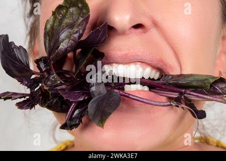 La donna, il cui volto non è visibile, tiene un ramo di basilico in bocca. Mangia verdi Foto Stock