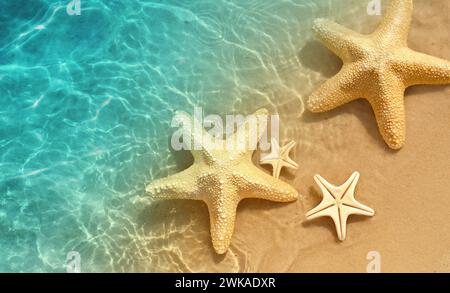 Stella di mare sulla spiaggia di estate in acqua di mare. Estate sfondo. L'estate. Foto Stock