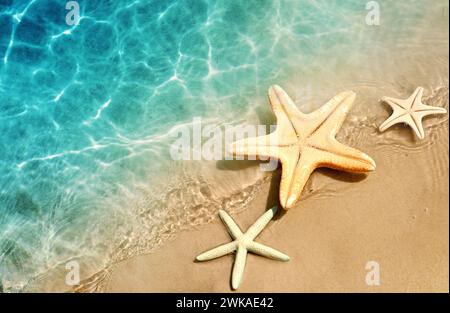Stella di mare sulla spiaggia di estate in acqua di mare. Estate sfondo. L'estate. Foto Stock